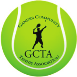 gcta-logo-small.png (70 KB)